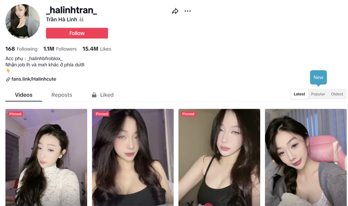 Hà Linh sở hữu kênh Tiktok với hơn 1 Triệu Follower